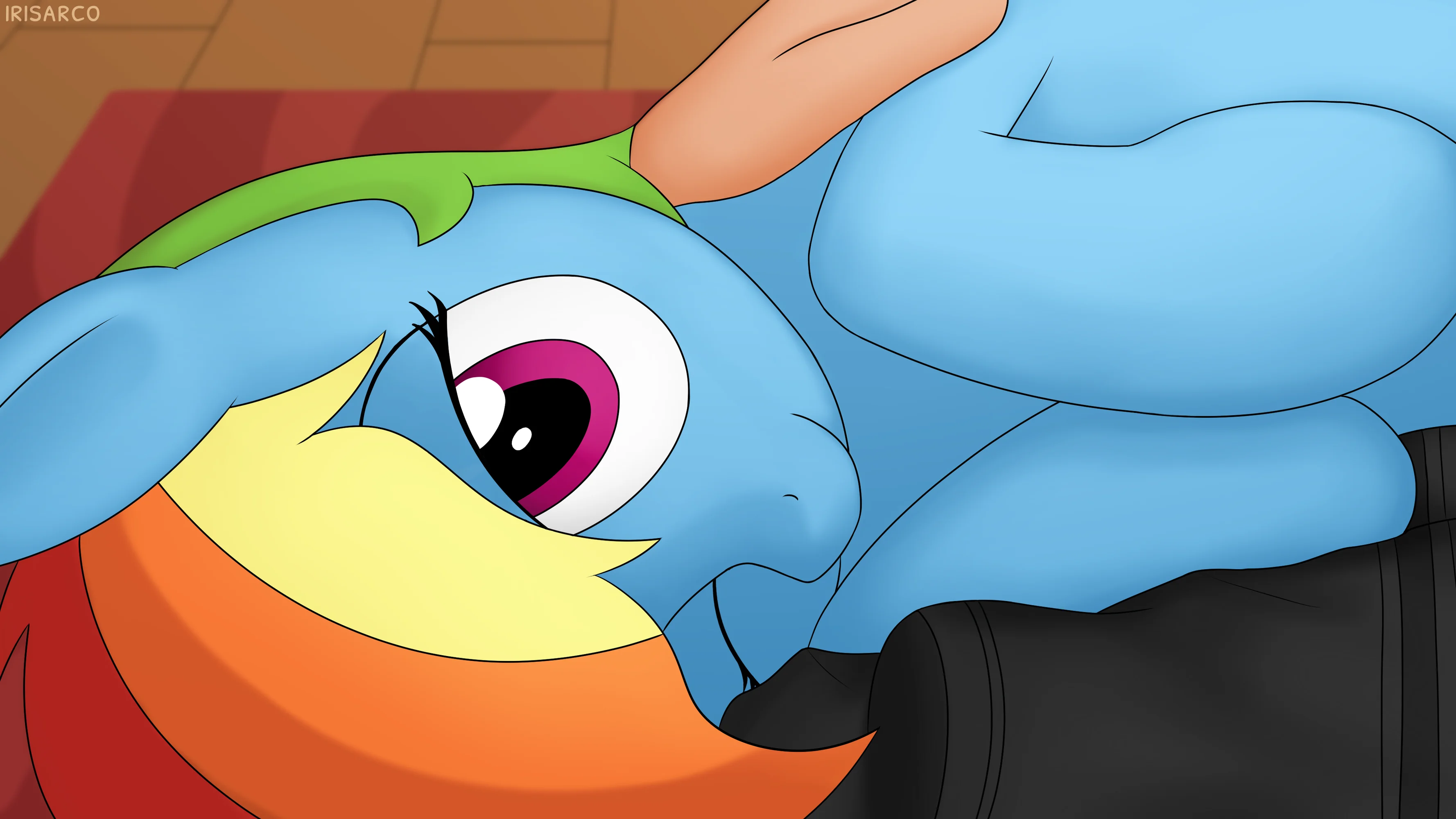 Dashie (1/1)
